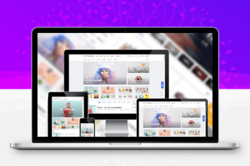 WordPress B2 PRO主题5.4.2免授权版下载安装指南