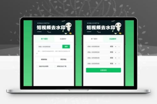 2026最新去水印小程序源码 v1.6.5 带流量主 - 在线解析短视频水印